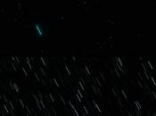 COMETA C/2014 (Lovejoy)