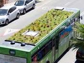 Techos verdes para buses