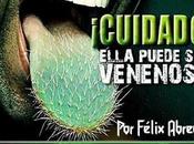 poder palabras