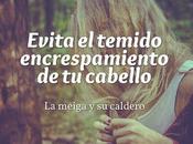 Evita Temido Encrespamiento Cabello