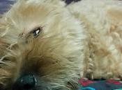 Estamos Agustito CIX. Podria estar peor #funny