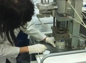 Lanzamiento nuevo producto Rogado