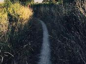 Tómalo sólo como consejo: Aporta aparta