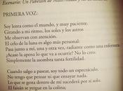 lecturas verano
