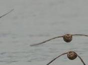 ¡¡feliz postnupcial!!