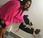 Fucsia night