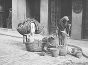 Fototeca: burro trapera. Madrid, hacia 1920