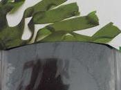 pizza alga wakame