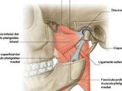 Articulación Temporomandibular Running