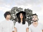 Gatomidi emprende camino directos