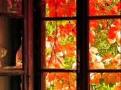 ¡Bienvenido otoño!