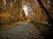 Otoño acaba llegar
