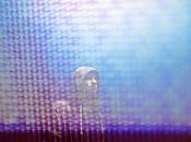 Empty Files sacará edición física disco