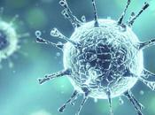 Descubren nuevo virus contagia transfusiones