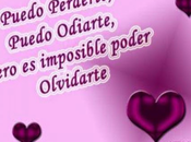 Como olvidar