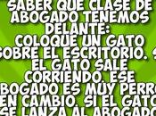Abogados.