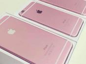 nuevo color rosa triunfa iPhones