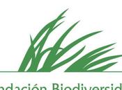 ¿Cuál principal objetivo Fundación Biodiversidad?