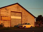 Datsun Bluebird 510. Pequeñas bestias