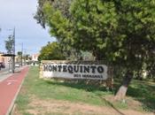 Detenido Montequinto robo violencia, falsedad documental tenencia armas