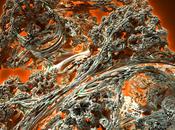 Soler Mandelbulb
