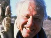 David Attenborough
