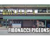 Feliz Fibonacci