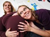 duración embarazo depende estructura placenta