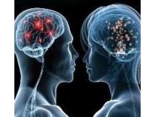 fisiología deseo, sexo, orgasmo amor nuestros cerebros