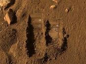 Varios organismos terrestres sobrevivirían Marte durante meses