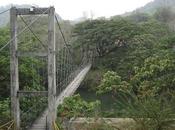 Puente Thenmala