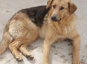 CIERA. riñones destrozarán tratamiento. GRANADA