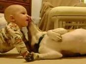 Primer encuentro entre bebé perro