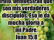 Mucho fruto
