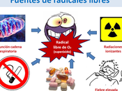 Factor protección frente radicales libres