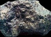 ¿Vida Marte?: Meteorito ALH84001
