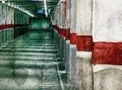 vigilante, Peter Terrin.