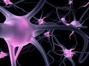 Tratamiento Bioelectromagnética