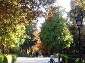 comienza otoño.Update