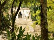 Palenque, medio Selva Chiapateca