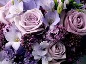 Ramos toques blanco morado