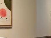 Miró McNay Museum Antonio