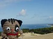 Arcachon duna Pilat