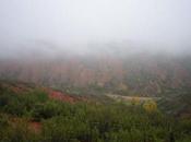 Niebla Sierra Norte
