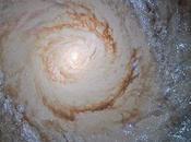 M94: Creando estrellas