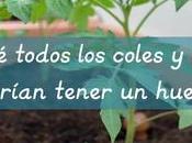 ¿Por todos coles hogares deberían tener huerto? should every school home have garden?