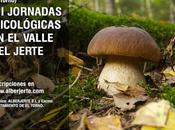 Jornadas Micológicas Valle Jerte noviembre)