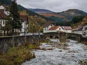 bosque Zabaleta Irati