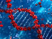 Identificados nuevos genes responsables progresión cáncer