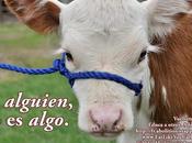 Consentimiento